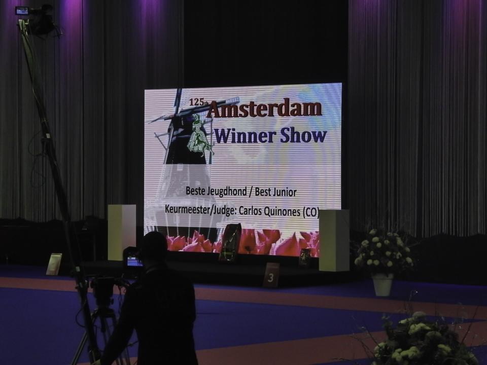 WINNER