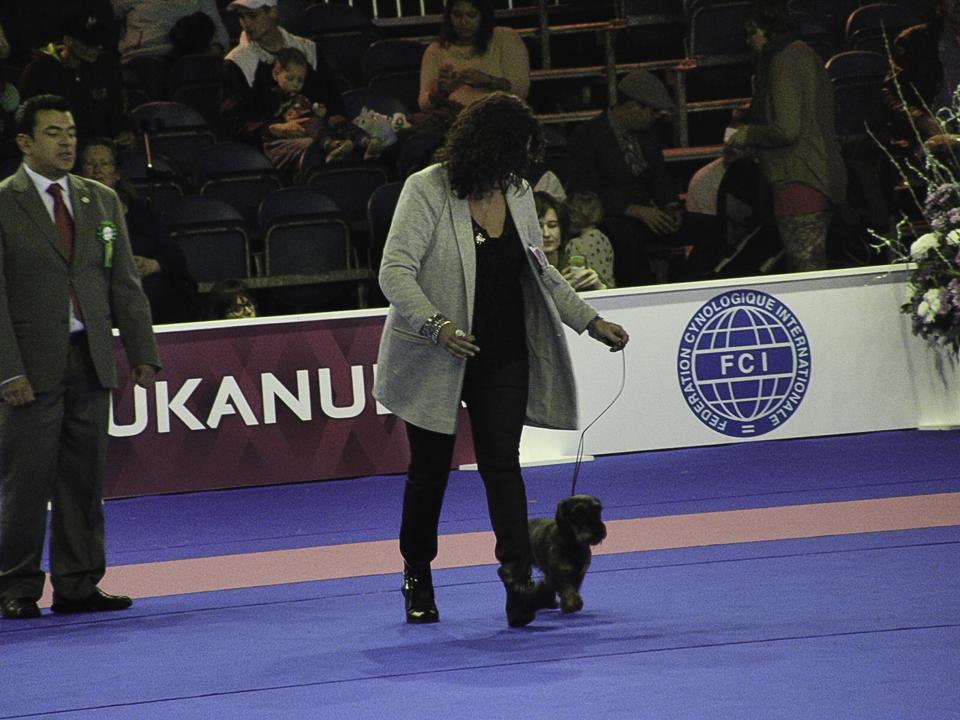 WINNER 2014
